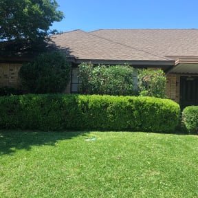 Bush Trimming by C&A Lawn Care + reviewed on August 16, 2025