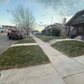 Leaf Removal by Amie's Clean Cut Lawns and More reviewed on November 21, 2025