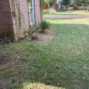 Bush Trimming by Verns Lawncare LLC reviewed on November 24, 2025