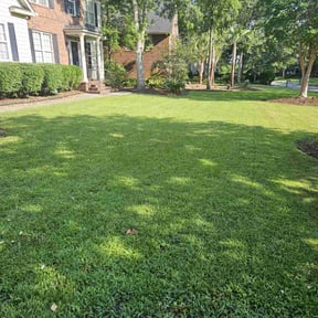 grass maintenance by Johnny's lawn reviewed on September 14, 2023