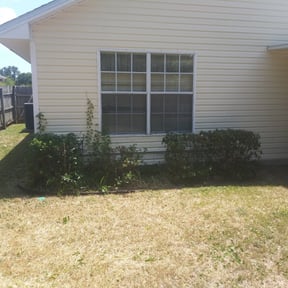Bush Trimming by Hope Lawn Care reviewed on August 17, 2025