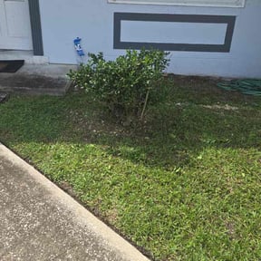 turf care by Sbm reviewed on March 28, 2025