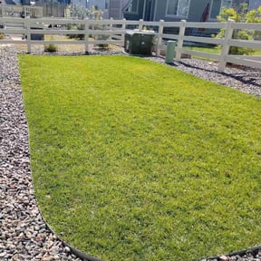 Weeding by Phase 1 Landscaping reviewed on May 26, 2025