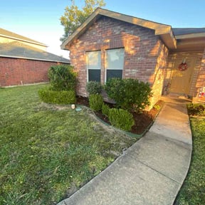 Bush Trimming by Awesome landscaping reviewed on November 10, 2025