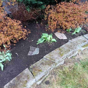 Flower Bed Weeding by Royal Heritage Lawn Care Service reviewed on March 24, 2026