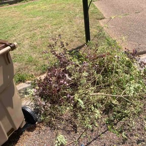 Bush Trimming by Clouse Landscaping reviewed on May 17, 2026