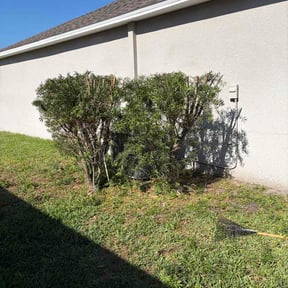 Bush Trimming by Keiths Lawn Service reviewed on May 17, 2026