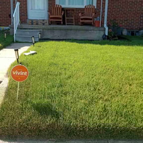 yard work by Cypress Lawn & Landscape reviewed on August 19, 2025