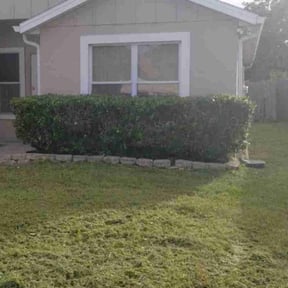 Bush Trimming by Top&#039;s Lawn Care reviewed on November 8, 2025