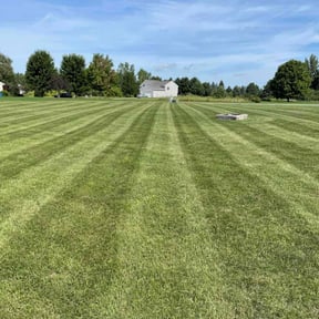 yard maintenance by Cricket Mowing Services LLC reviewed on August 16, 2025