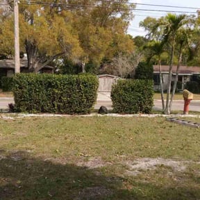 Bush Trimming by Cutler Lawn Care reviewed on August 21, 2025