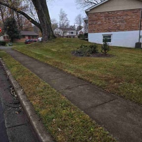 Leaf Removal by Top Knotch Landscaping reviewed on November 20, 2025