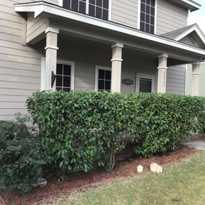 Bush Trimming by Go Green Electric Lawncare reviewed on August 20, 2025