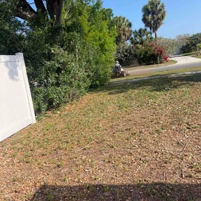 Bush Trimming by Andrew James Property Maintenance reviewed on April 1, 2026