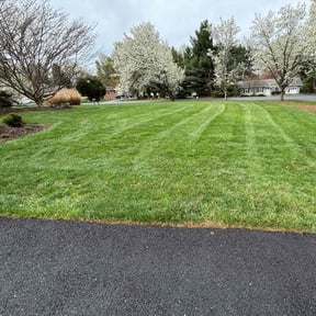 grass maintenance by Eco Landscape &amp; Design reviewed on May 2, 2025