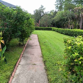 landscaping by Gray's Lawn Service reviewed on August 21, 2025