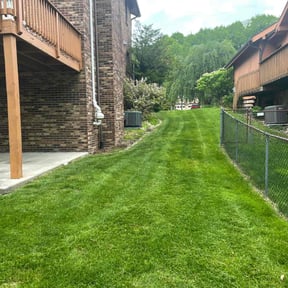 yard care by ATpowered reviewed on August 16, 2025