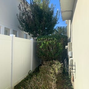Bush Trimming by Cut N Edge Landscape services reviewed on August 15, 2025