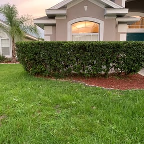 Bush Trimming by Vill’s landscaping reviewed on August 18, 2025