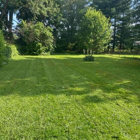 residential landscaping by Lesli's lawn care and snow removal  llc reviewed on August 20, 2025