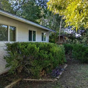 Bush Trimming by Dave's handyman services reviewed on August 21, 2025