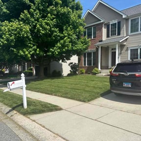 landscape maintenance by Perspective Solutions LLC reviewed on December 4, 2025