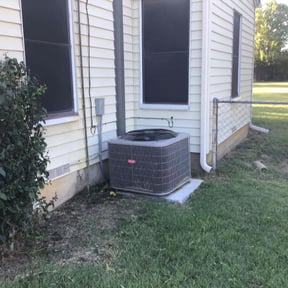 Bush Trimming by Express lawn services reviewed on August 17, 2025