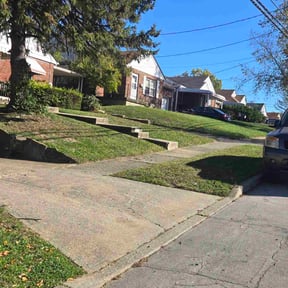 Bush Trimming by The lawn Guy reviewed on July 2, 2023