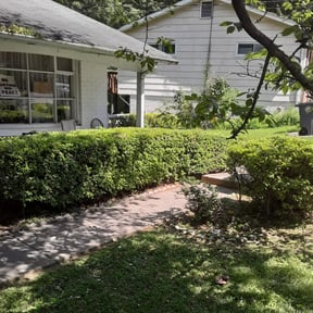 Bush Trimming by Juan Rodriguez reviewed on August 21, 2025