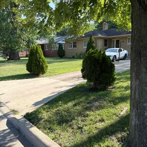 Bush Trimming by ChevysLandScaping reviewed on January 4, 2026