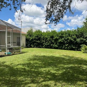 yard care by Jason Times reviewed on November 18, 2025