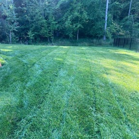 grass cutting by Delgado Landscaping and Garden reviewed on October 2, 2023