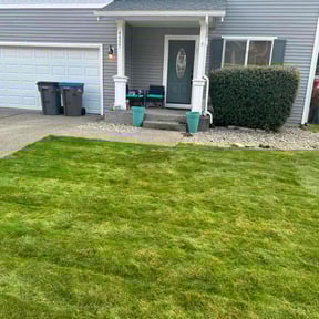 turf care by Galaxy painting and landscaping reviewed on April 3, 2025