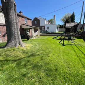 landscaping services by Philly Lawn Care reviewed on October 20, 2025