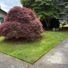 lawn maintenance by Chucks Cutz LLC reviewed on August 17, 2025