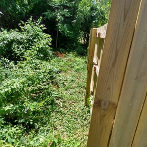 Bush Trimming by Life Source Lawn Care and Property Services reviewed on August 21, 2025