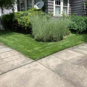 landscaping services by R&R work reviewed on August 19, 2025