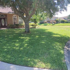 lawn care by Harvey Handy &amp; Lawn reviewed on May 25, 2025