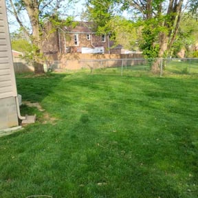 grass cutting by Jackson of All Trades reviewed on September 12, 2023
