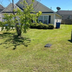 landscape maintenance by Prestige Property Preservation Worldwide LLC reviewed on August 16, 2025