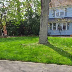 lawn care by Greenview Lawn Solutions llc reviewed on October 11, 2023