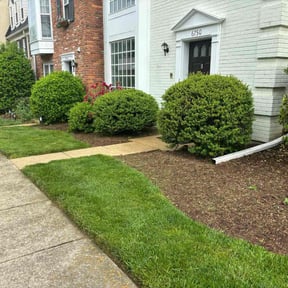 residential landscaping by Cossie Landscaping reviewed on August 16, 2025
