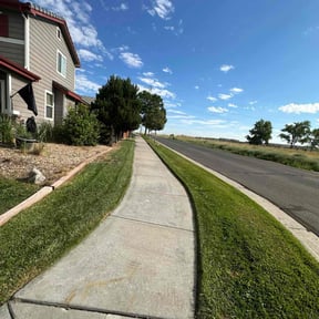 yard maintenance by Chance Landscaping LLC reviewed on November 22, 2025