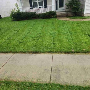 turf care by Lawn Care reviewed on July 14, 2023