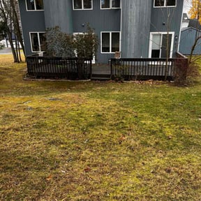 Leaf Removal by GGlawncare reviewed on November 22, 2025