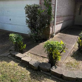Bush Trimming by Complete Lawn Care reviewed on April 21, 2026