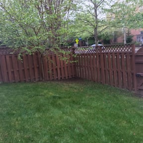 Leaf Removal by Turf care  reviewed on September 8, 2025