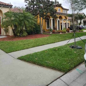 landscaping by Terra Turf Landscape reviewed on August 18, 2025