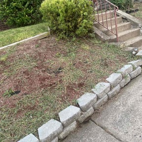 Bush Trimming by DadSon Lawncare reviewed on November 24, 2025