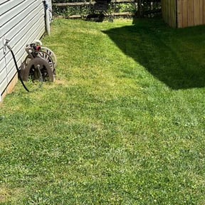 landscaping services by Tobys Lawns reviewed on August 20, 2025